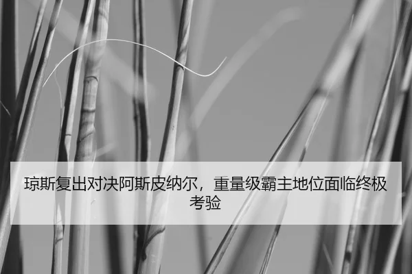 琼斯复出对决阿斯皮纳尔，重量级霸主地位面临终极考验